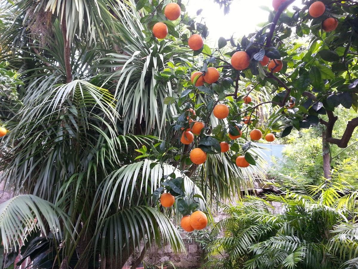 ميتا Villa Pollio المظهر الخارجي الصورة