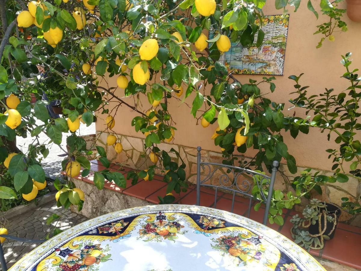 ميتا Villa Pollio المظهر الخارجي الصورة